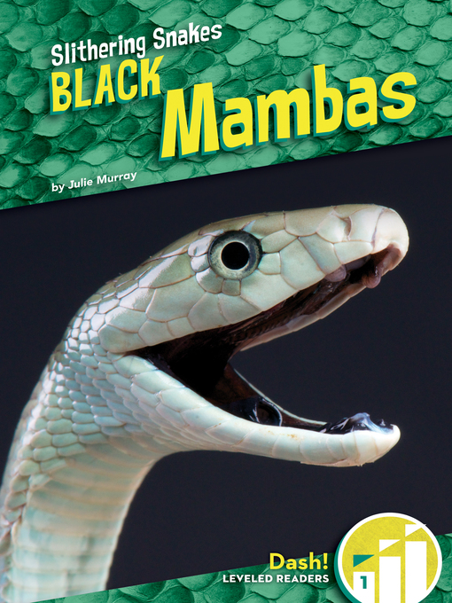 Title details for Black Mambas by Julie Murray - Available